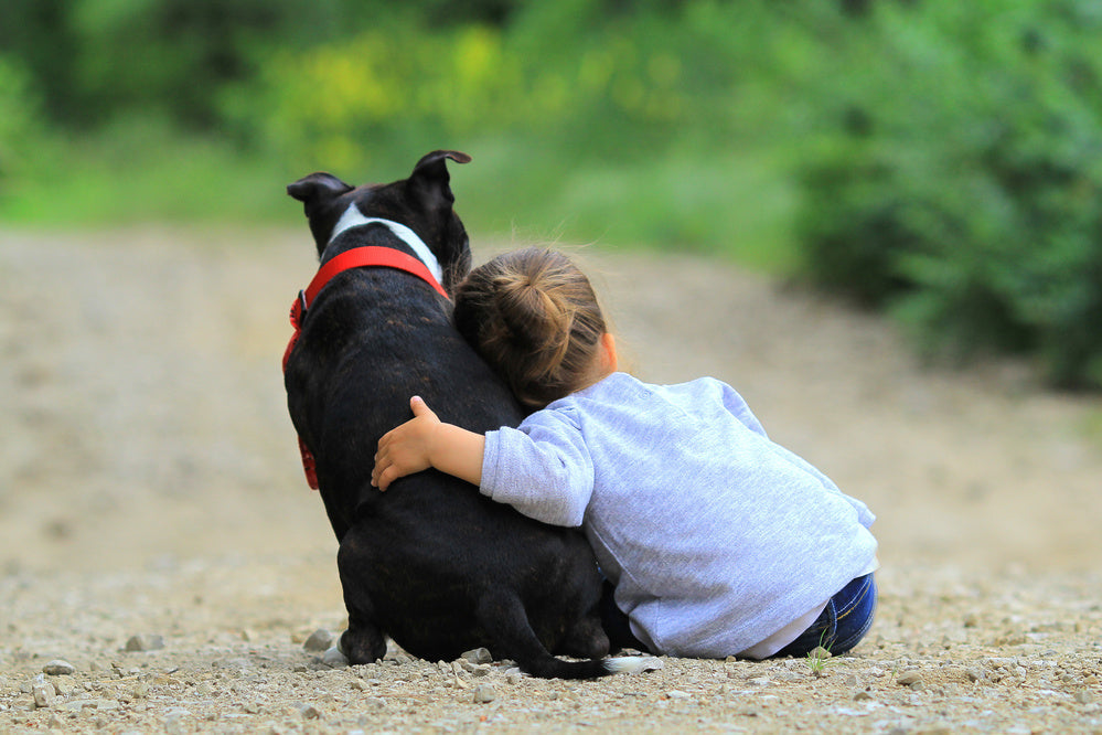 Little girl hugging dog