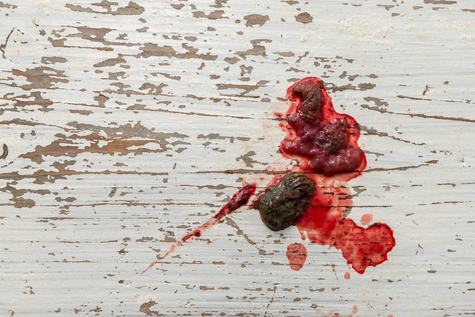 Blood in dog poop