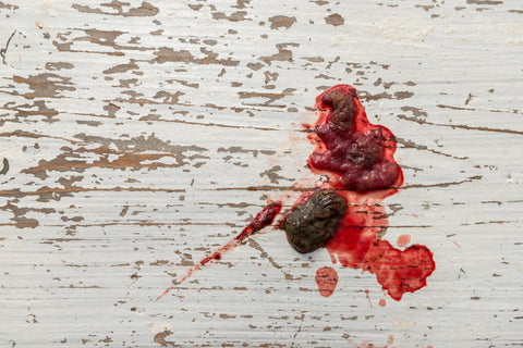 Blood in dog poop