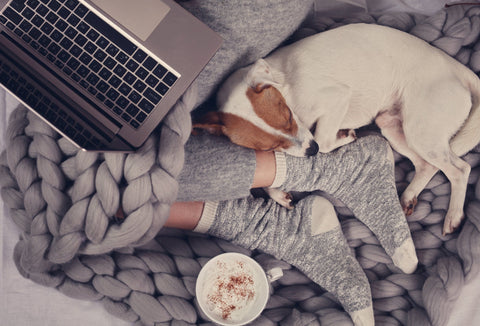 dog sleeping at their owner's feet