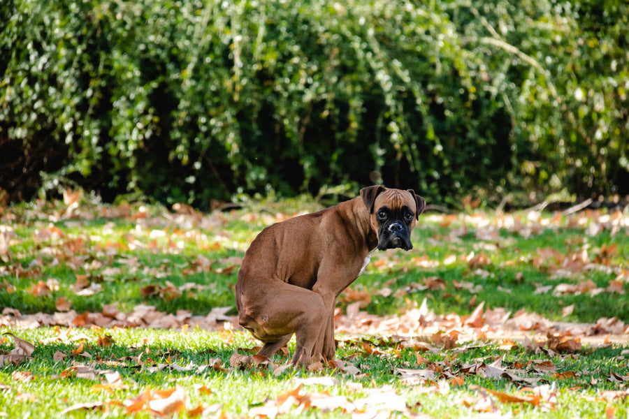AdobeStock_309496053.jpg