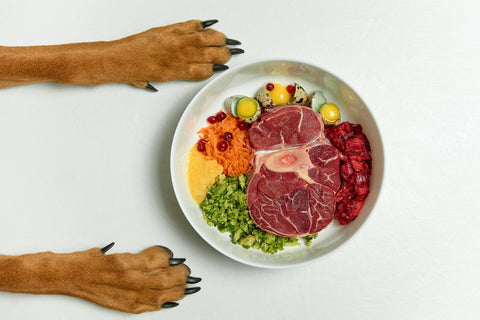 A healthy dog diet