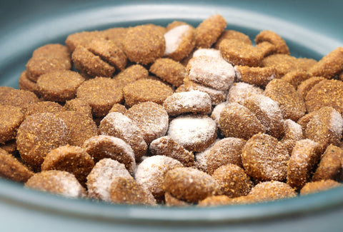 dog probiotics