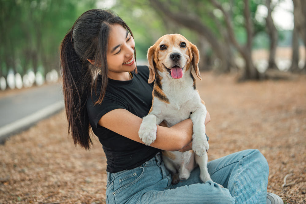 A happy looking dog with its owner