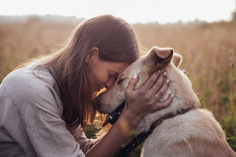 A dog showing love to its owner