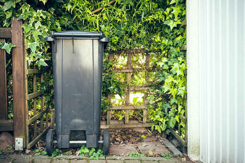 A black wheelie bin against a garden trellis which has green leave growing up it.