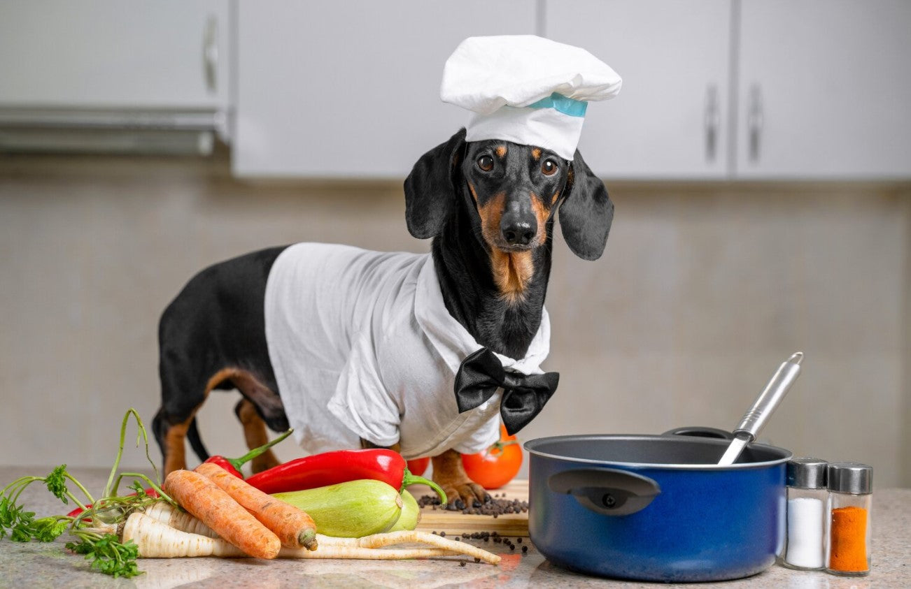 A Dachshund wearing chefs whites and a chefs hat, standing behind the ingredients and cooking vessels ready to cook a meal