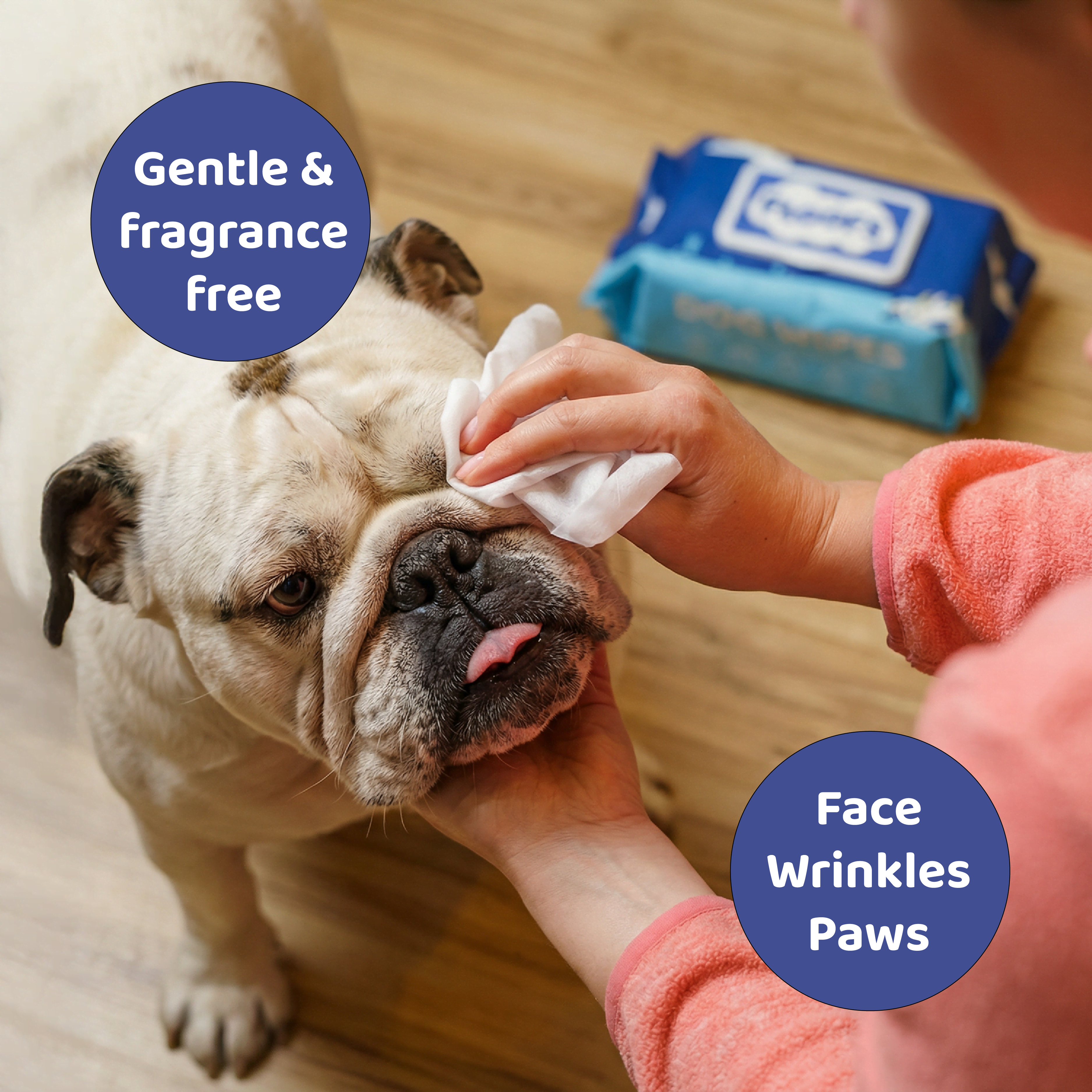 Floofs Pet Wipes - For Cats & Dogs