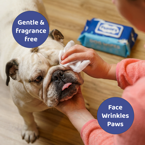 Pet Wipes