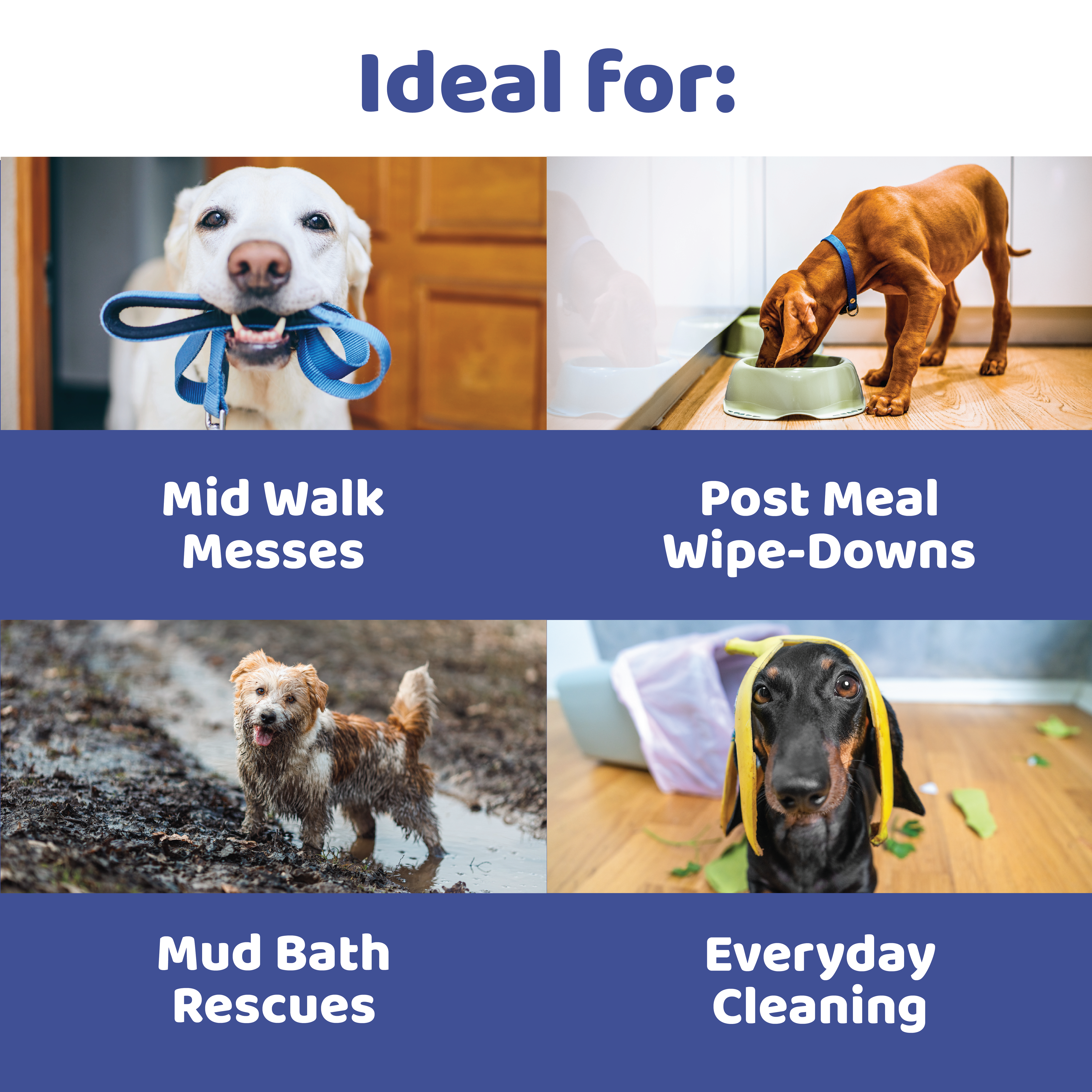 Floofs Pet Wipes - For Cats & Dogs