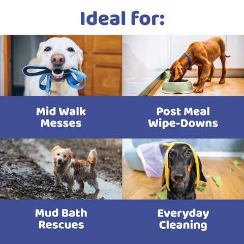 Pet Wipes