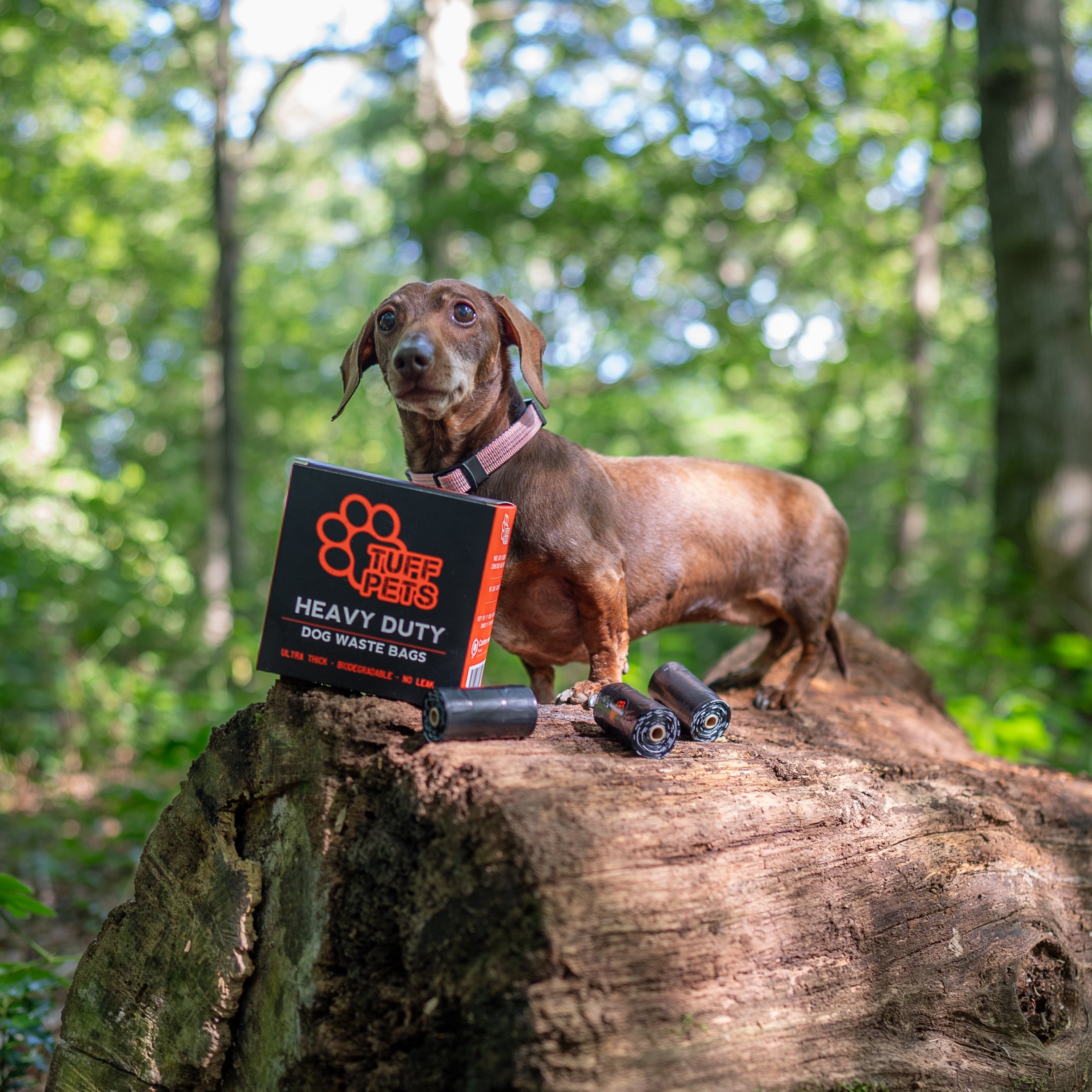 Tuff Pets - Poop Bag Dispenser