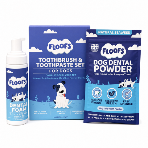 Dog Dental Foam