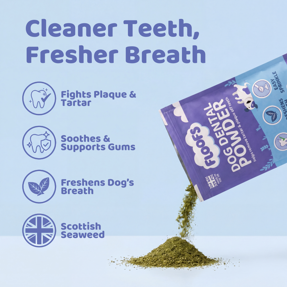 Floofs Dental Powder