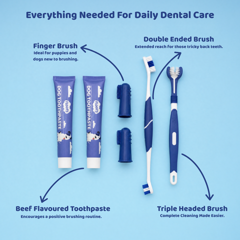 Floofs Pet Dental Care Set - product detail 1 of 5