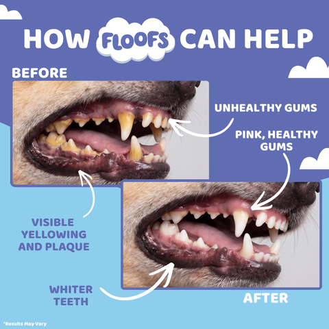 Floofs Pet Dental Care Set - product detail 3 of 5