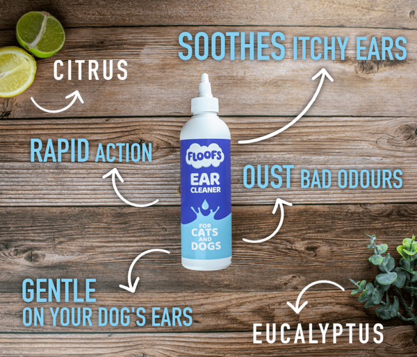 Pet Ear Cleaner