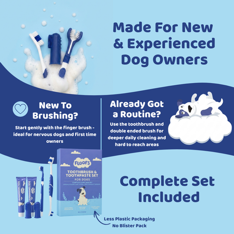 Floofs Pet Dental Care Set - product detail 4 of 5