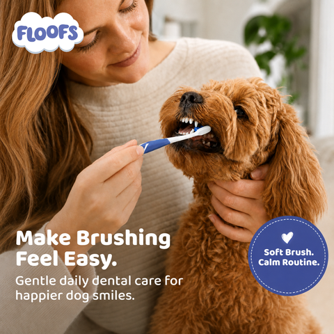 Floofs Pet Dental Care Set - product detail 5 of 5