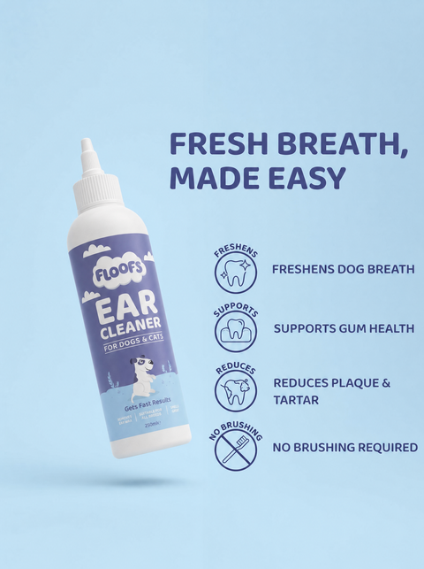 Pet Ear Cleaner