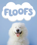 Floofs Logo above a fluffy dog