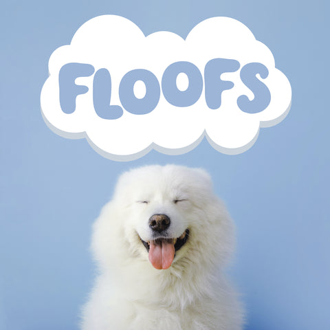 Floofs Logo above a fluffy dog